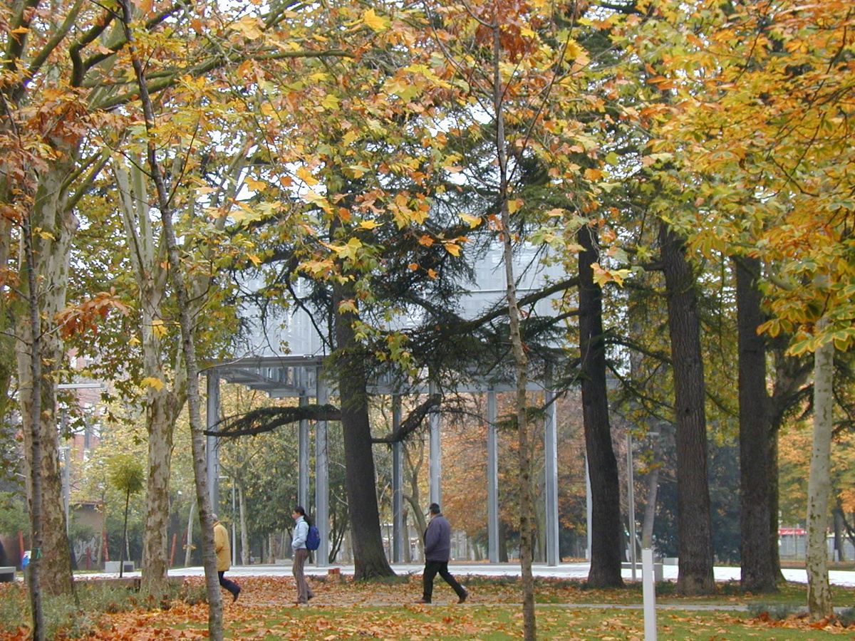  Parque del Salón de Isabel II