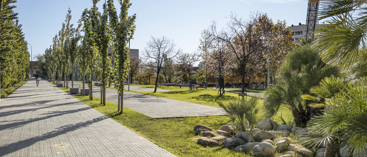  Renovation of Rosa Sensat Park and Avenida de les Alps